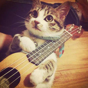 尼姑泥鳅泡澡视频
